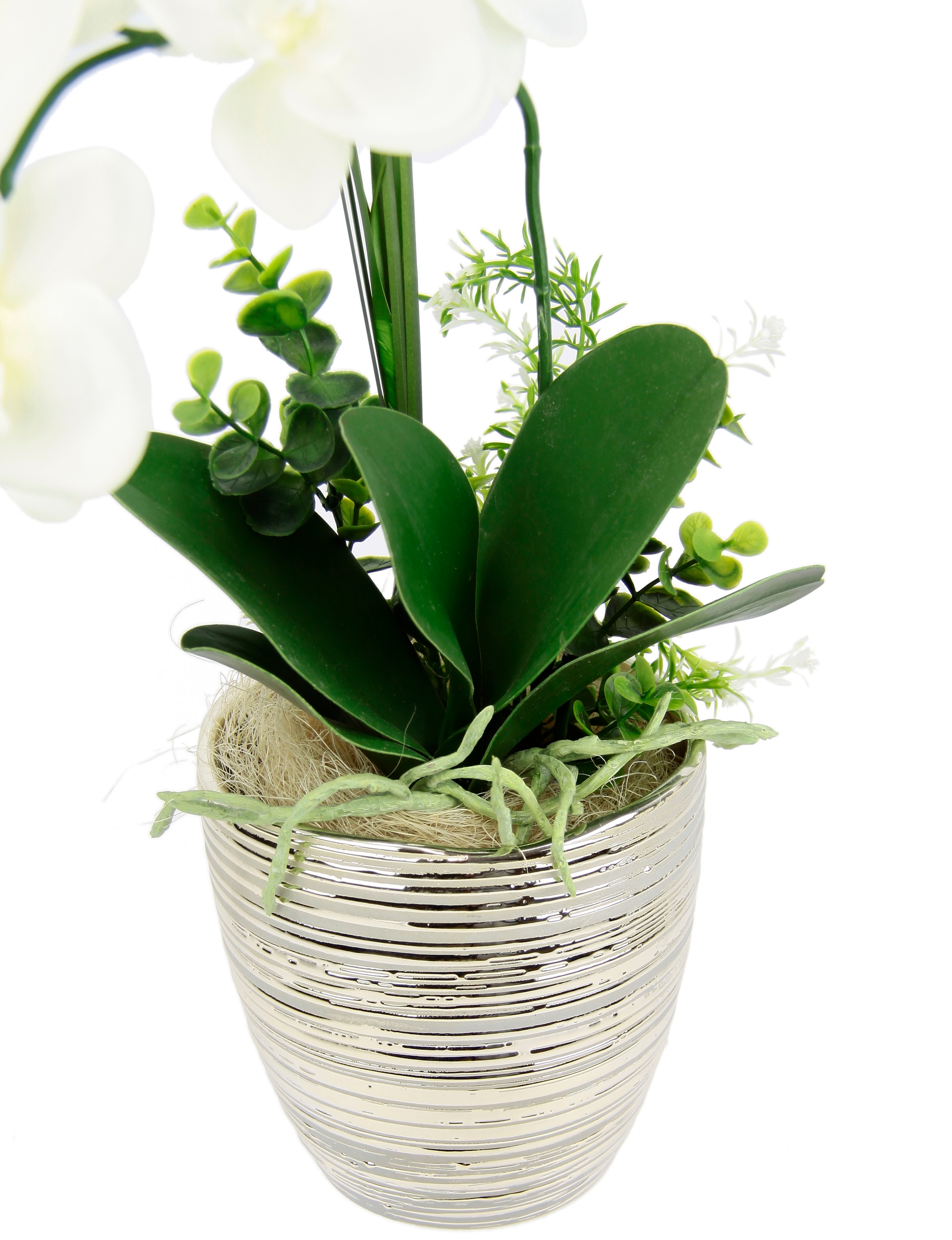 I.GE.A. Kunstblume »Arrangement Orchidee/Gras«, | bestellen Keramik aus Topf online Jelmoli-Versand