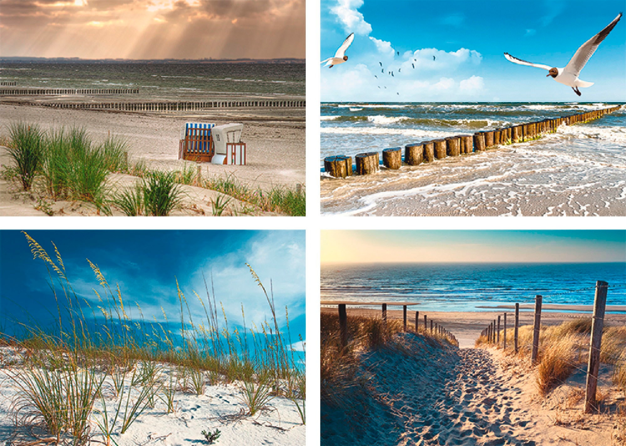 Artland Leinwandbild »Einsamer Strand Ostsee St.), 4er Grössen verschiedene Sanddüne Set, | online (4 shoppen Jelmoli-Versand Gräser«, Strand