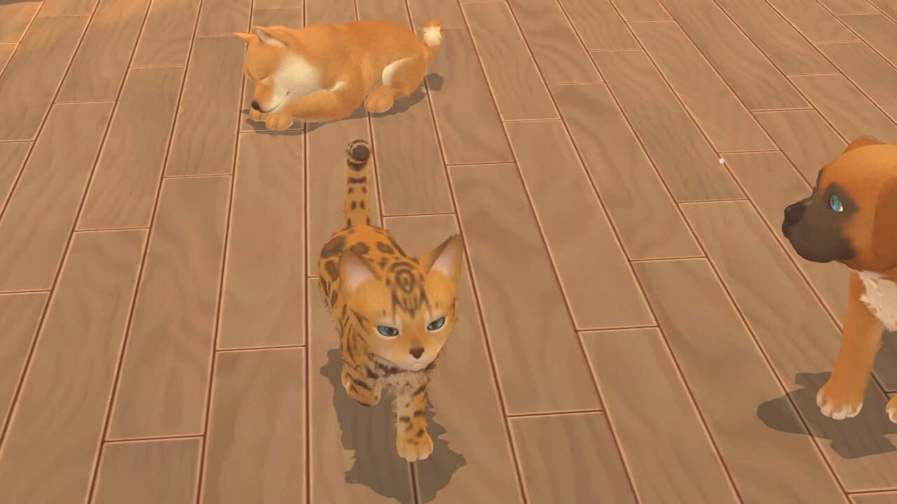 Astragon Spielesoftware »My Universe - Hunde- und Katzenbabys«, Nintendo Switch