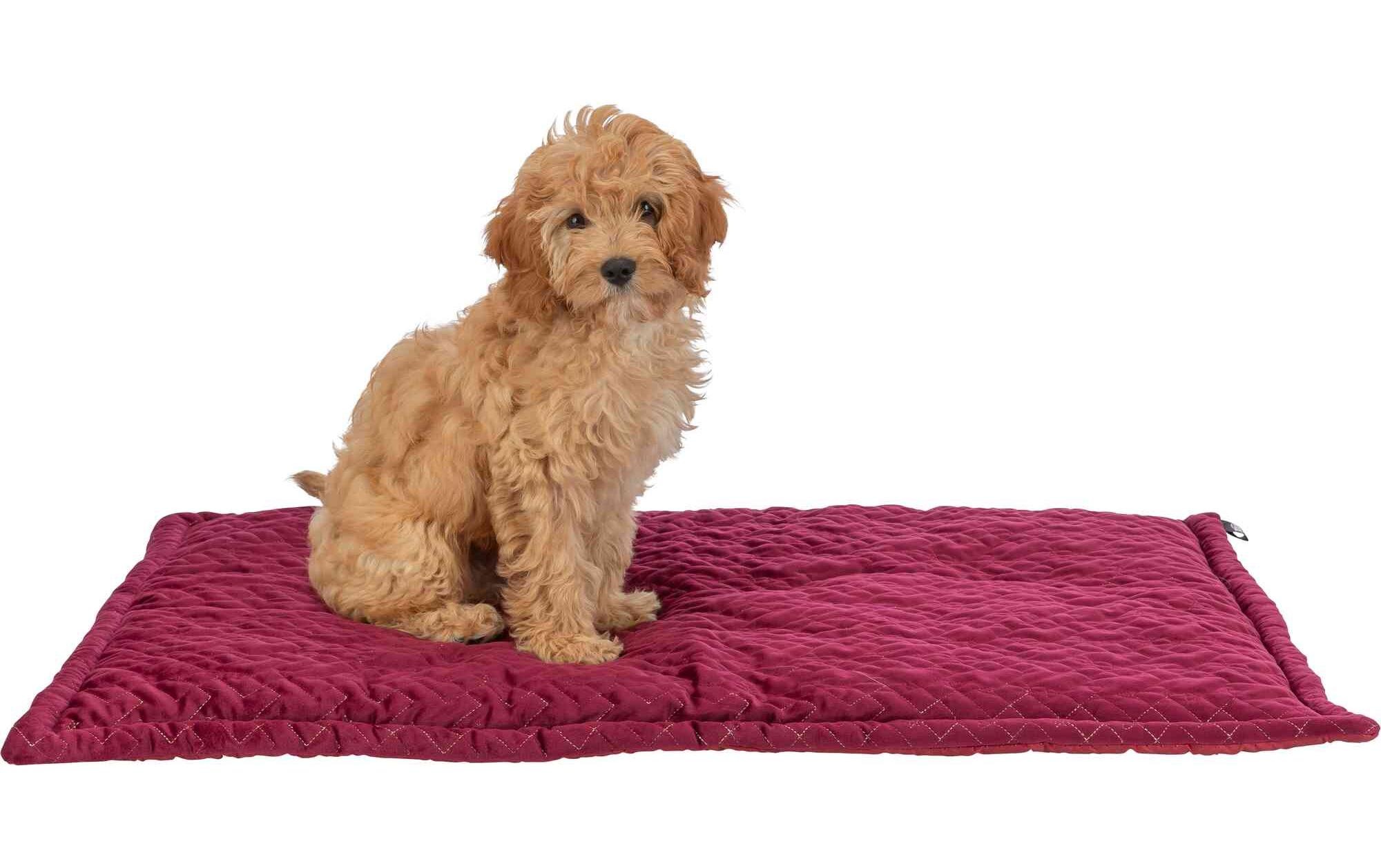 TRIXIE Hundematte »Natalya 90 × 60 cm«