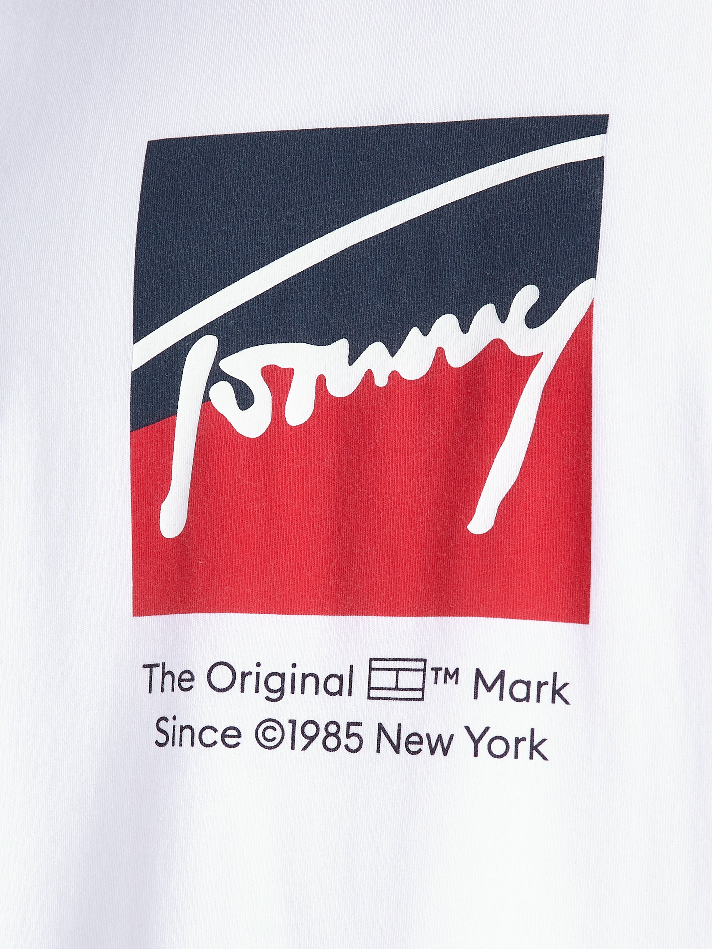 Tommy Jeans T-Shirt »TJM REG RWB DNA TEE«, mit Logoprint