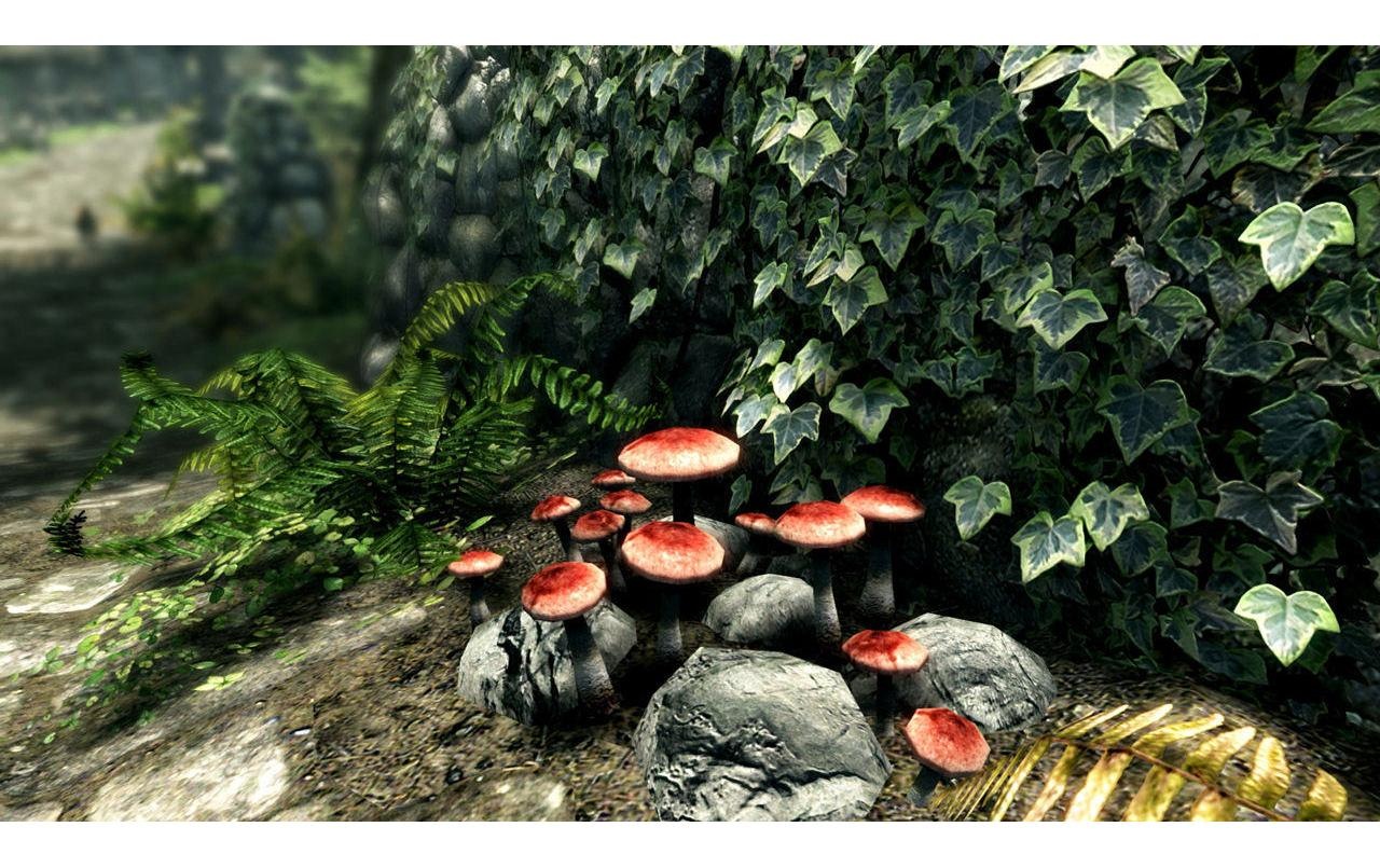 Nintendo Spielesoftware »The Elder Scrolls 5: Skyrim«, Nintendo Switch