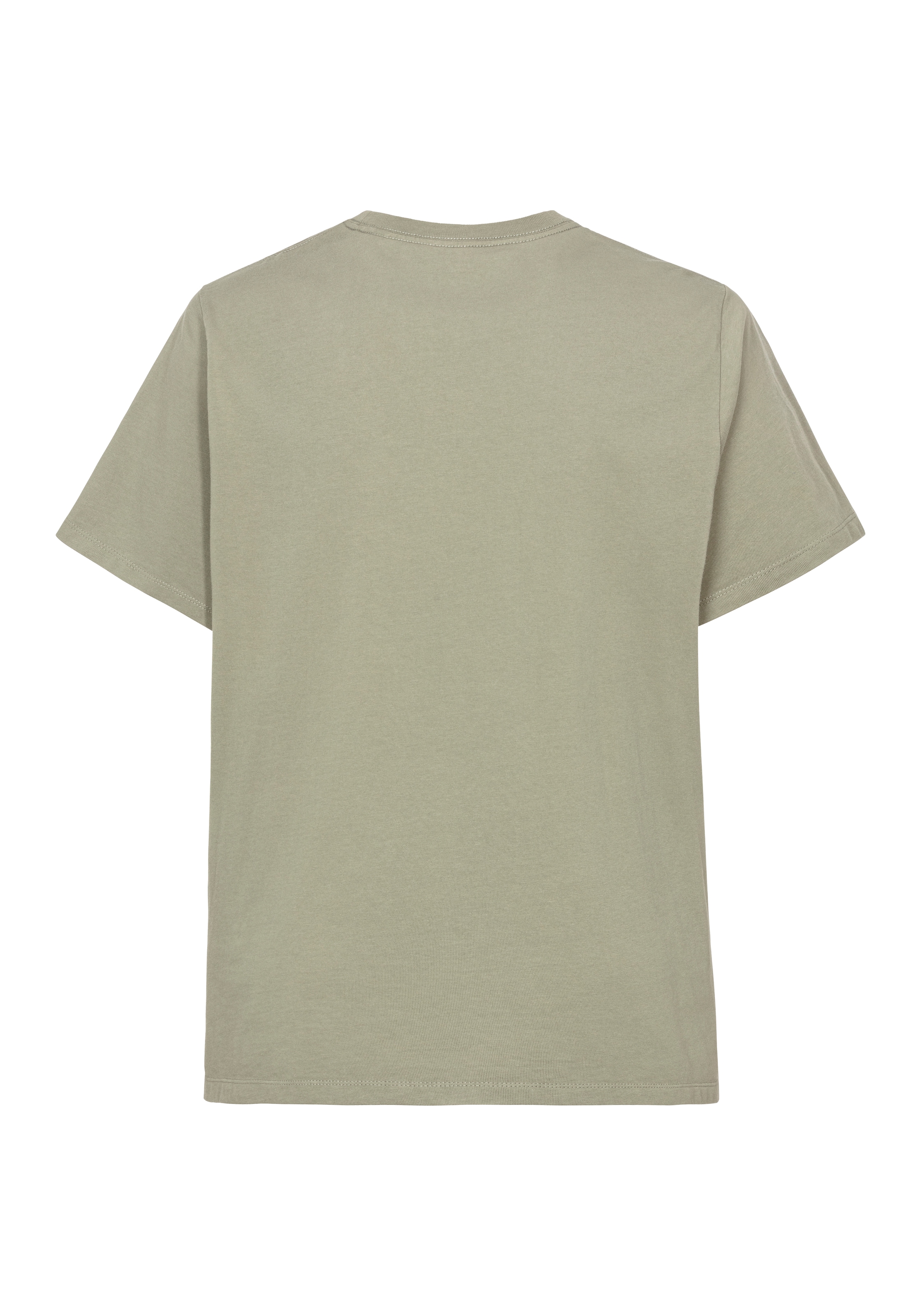 Levi's® Plus T-Shirt »LE BIG ORIGINAL HM TEE«