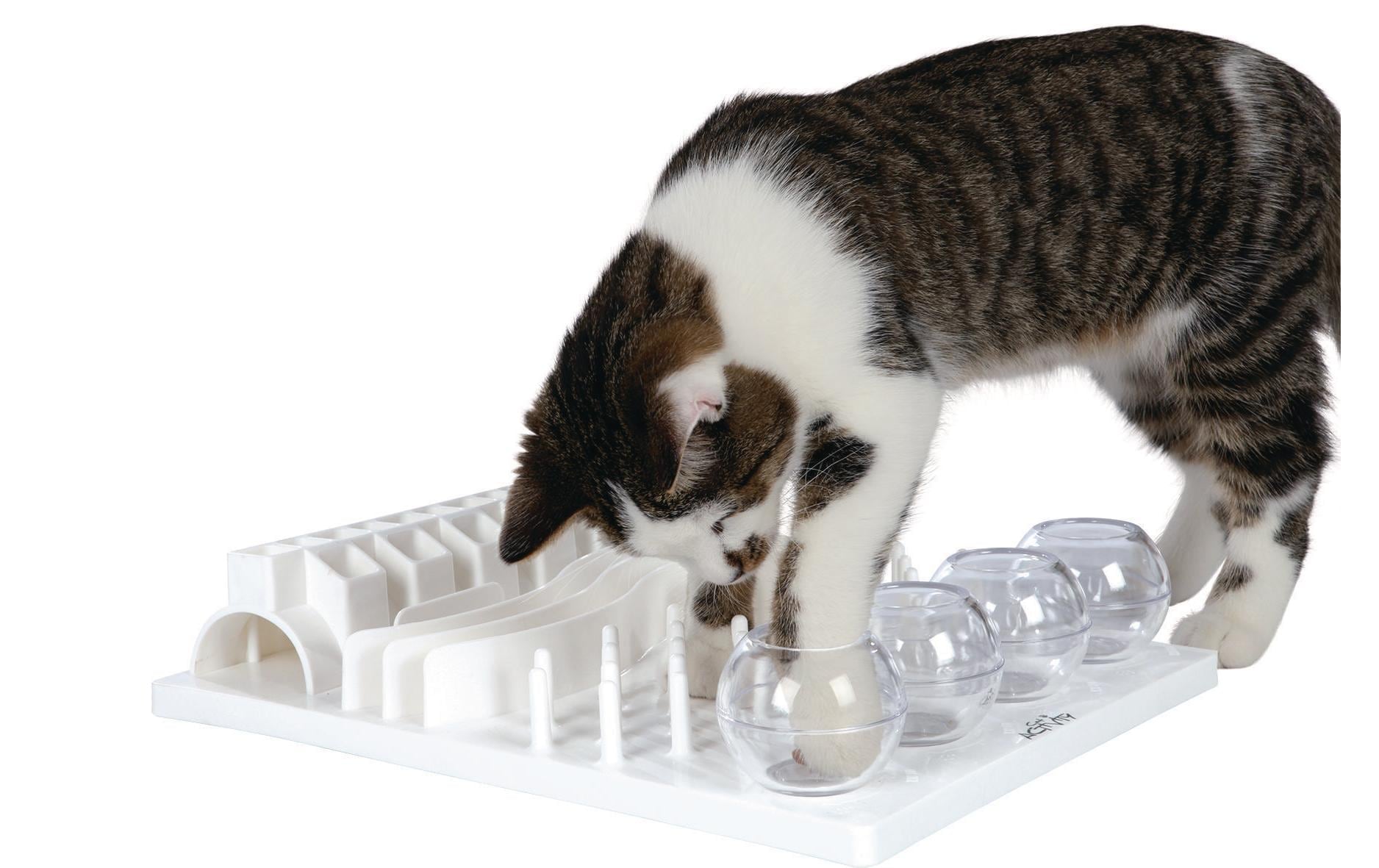 Tier-Intelligenzspielzeug »Cat Activity Fun Board, 30 × 40cm«, Kunststoff