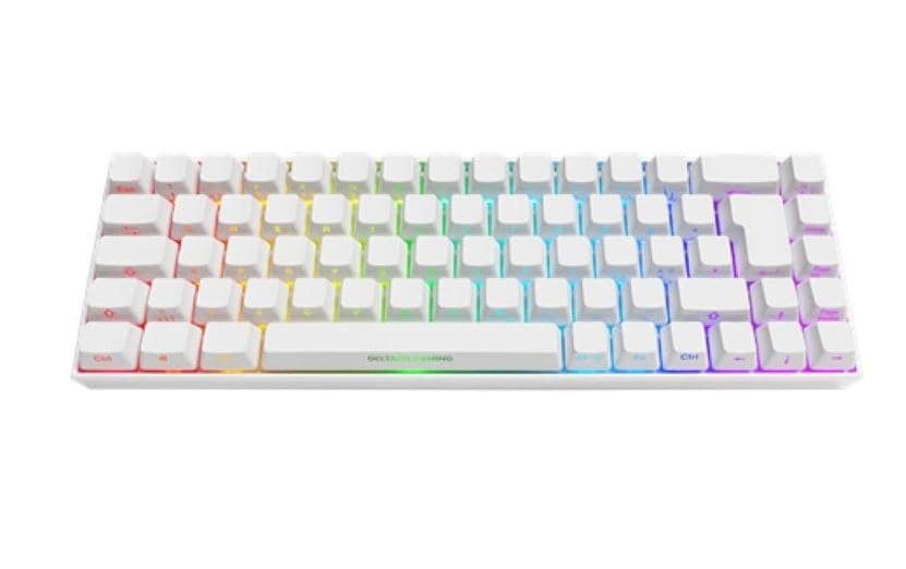 DELTACO Gaming-Tastatur »WK95R Wireless«