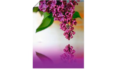 Artland Glasbild »Flieder«, Blumen, (1 St.), in verschiedenen Grössen  online kaufen | Jelmoli-Versand