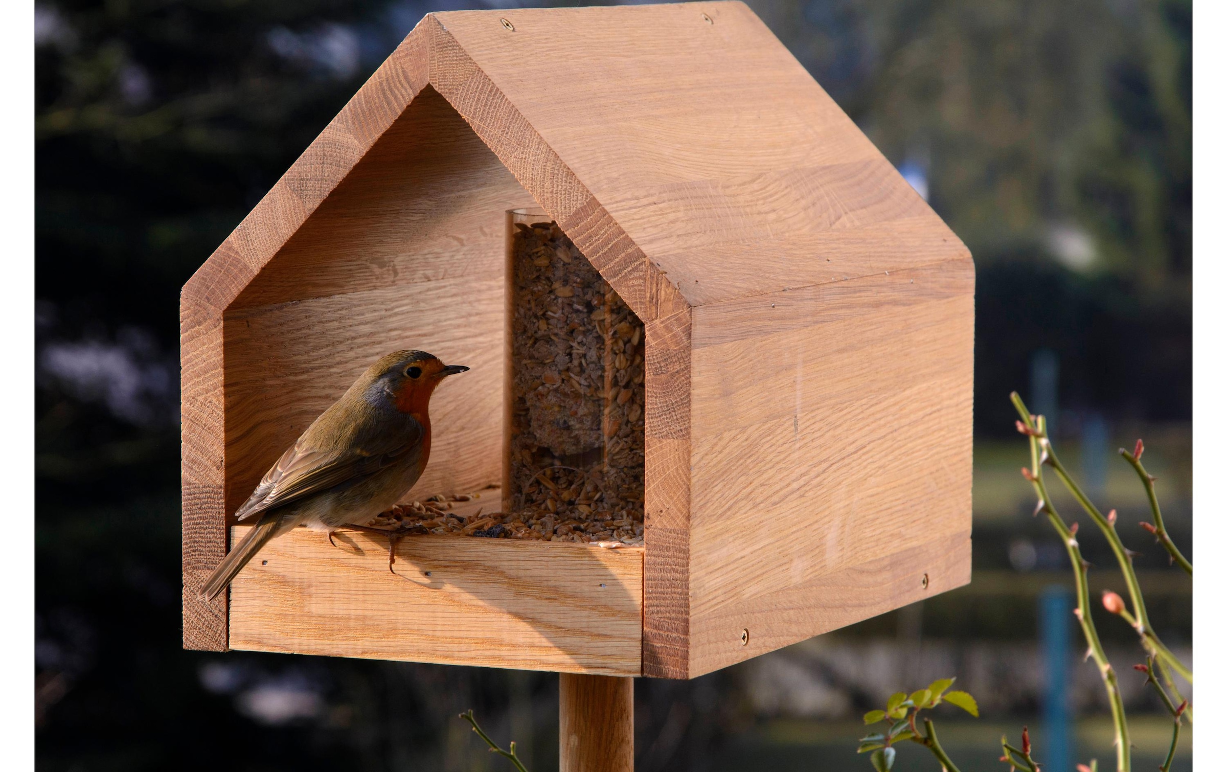 Vogelhaus »LUXUS-VOGELHAUS Bauhaus I«, Holzart: Eiche (Europa)