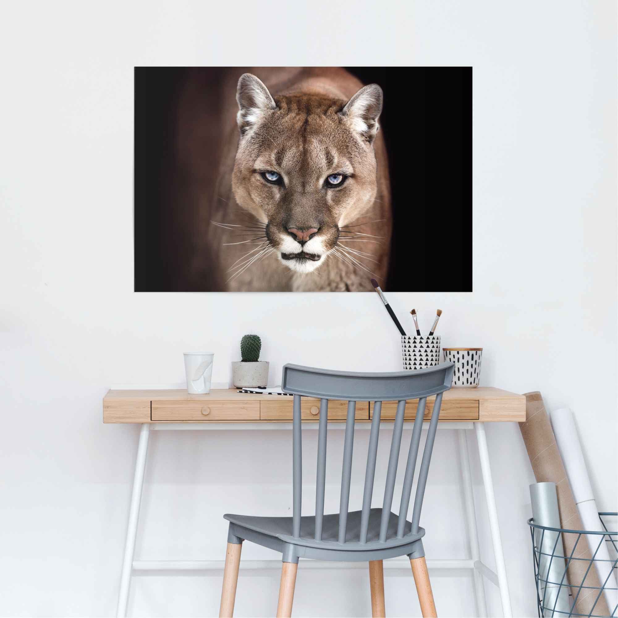 Reinders! Poster »Puma Nahaufnahme«, (1 St.)