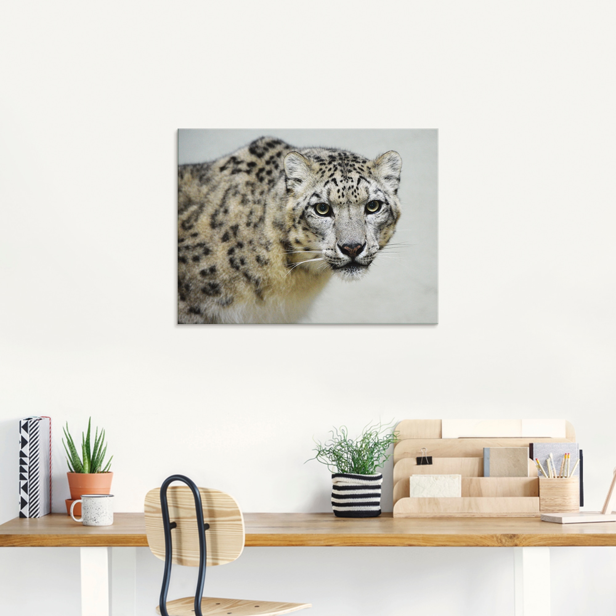 Artland Glasbild »Schneeleopard«, Wildtiere, (1 St.), in verschiedenen Grössen