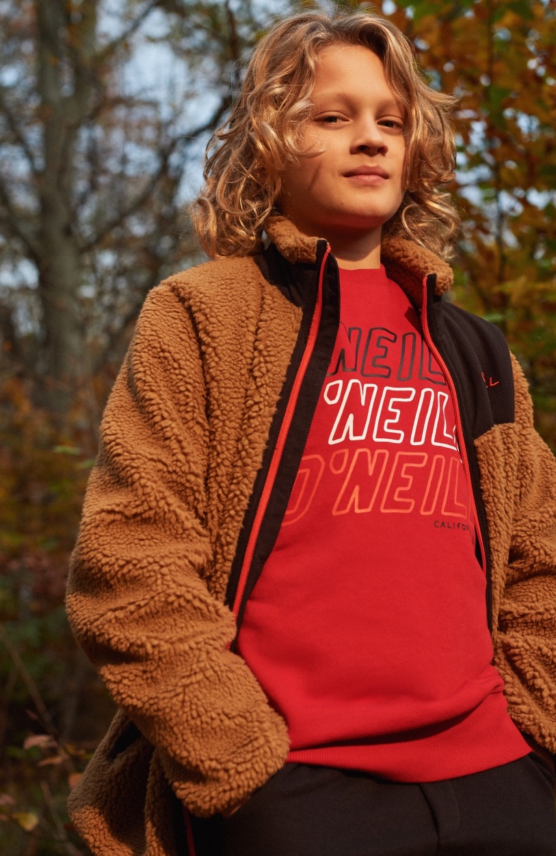 O'Neill Sweatshirt »All Year Crew Sweatshirt« kaufen