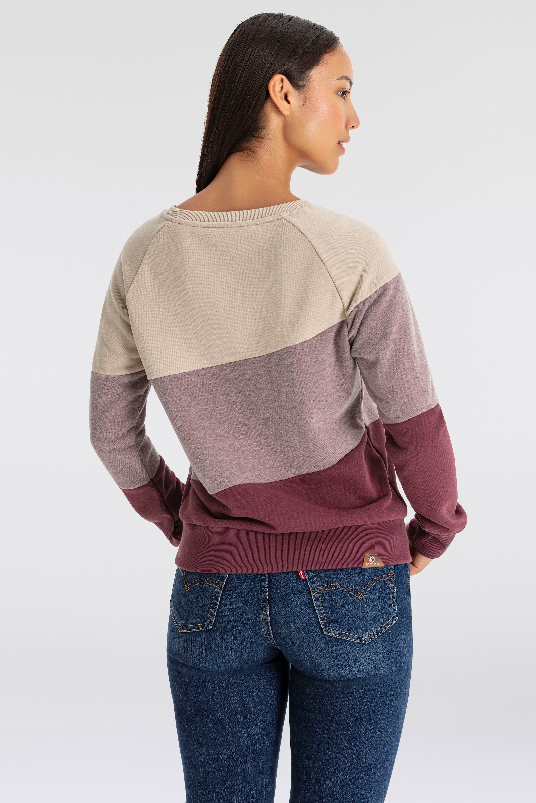 Ragwear Sweater »JOHANKA BLOCK«, Crew Neck im Color-Blocking Design