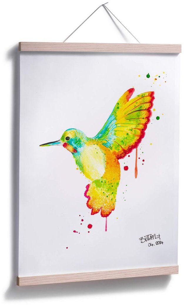 | Vögel, Wandposter Poster, online Wandbild, shoppen Poster Jelmoli-Versand St.), (1 Wall-Art Bild, »Kolibri«,