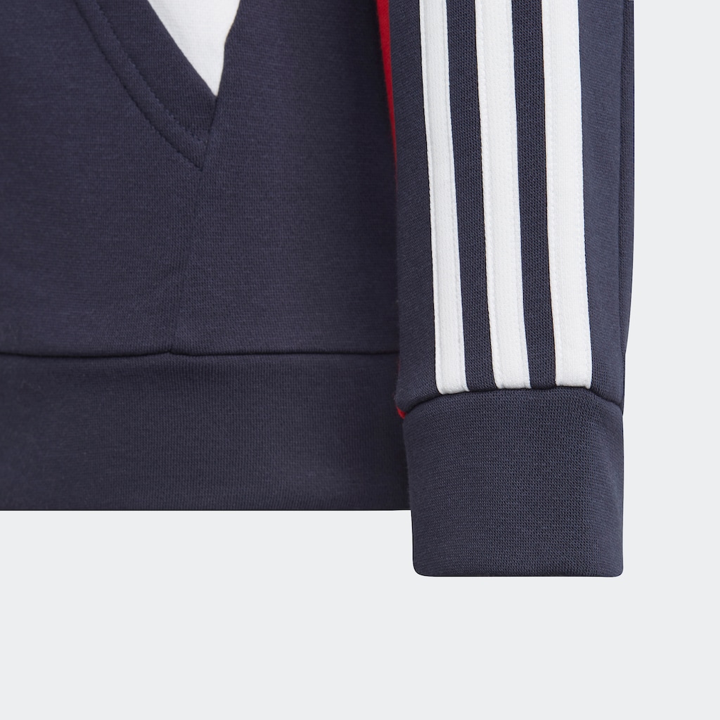 adidas Sportswear Kapuzensweatshirt »COLORBLOCK 3STREIFEN HOODIE«