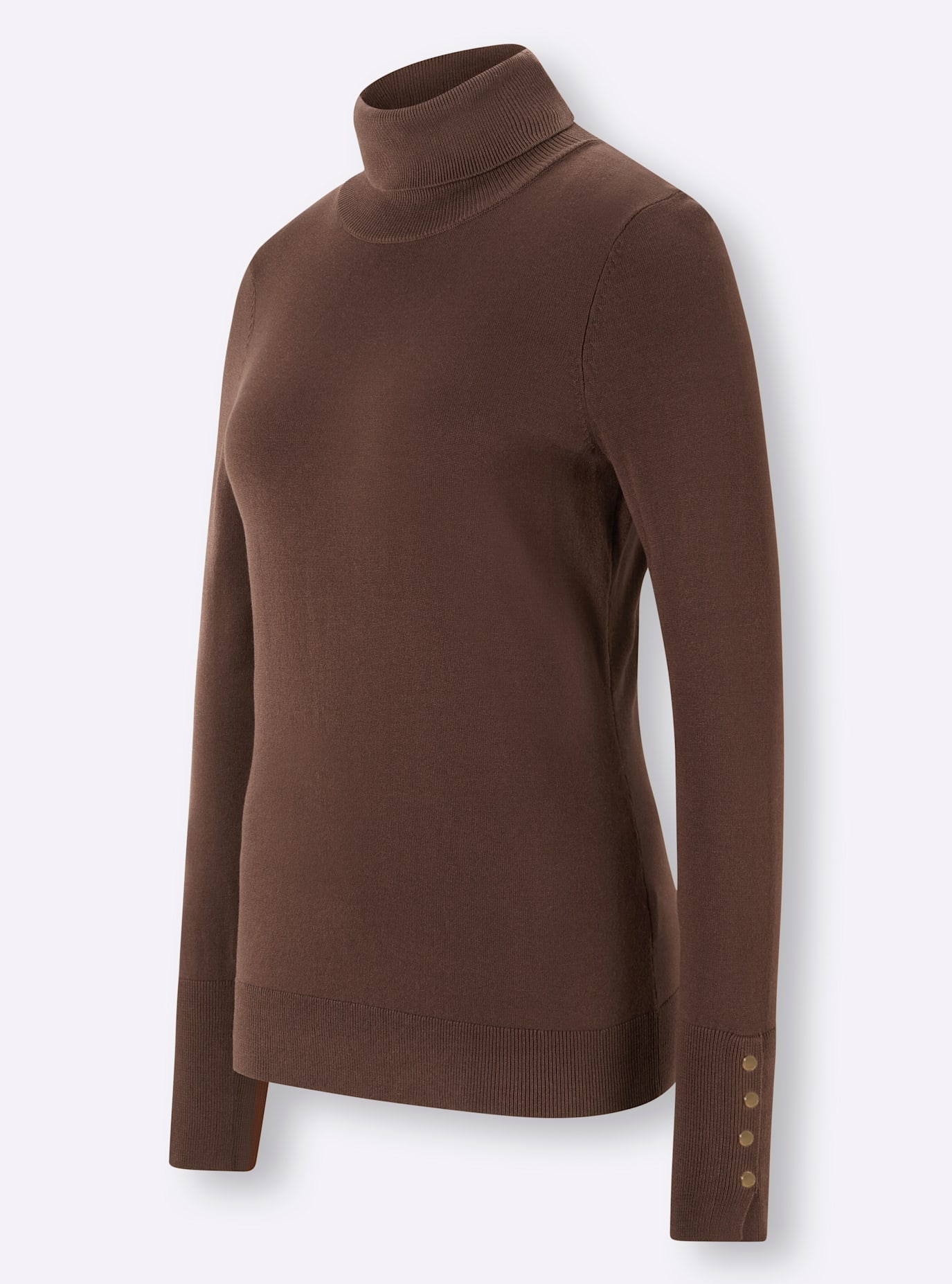 ASHLEY BROOKE by heine Rollkragenpullover »Rollkragen-Pullover«