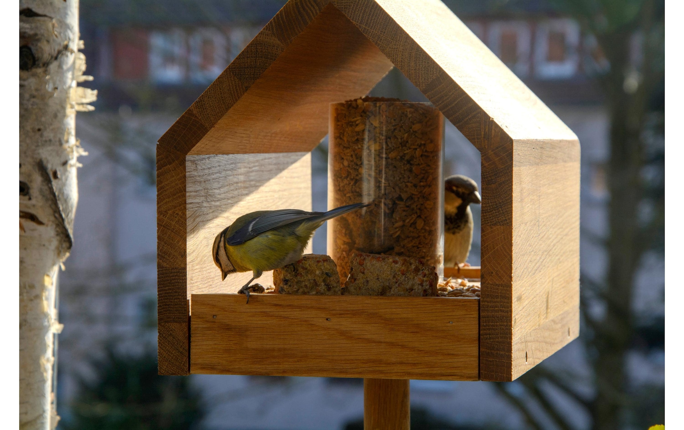 Vogelhaus »LUXUS-VOGELHAUS Bauhaus I«, Holzart: Eiche (Europa)