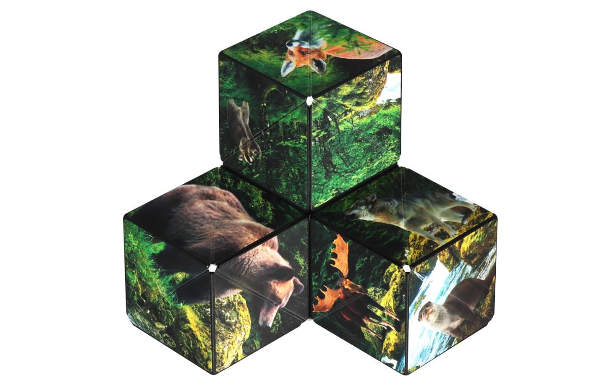 3D-Puzzle »Shashibo Cube Forest«