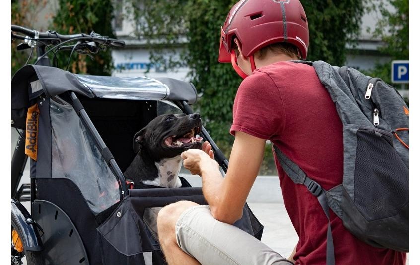 Fahrradhundeanhänger »AddBike Dog Kit«