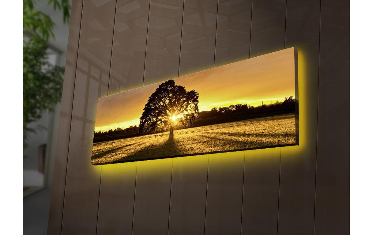 Wandbild »Wallxpert Tree«, Baum