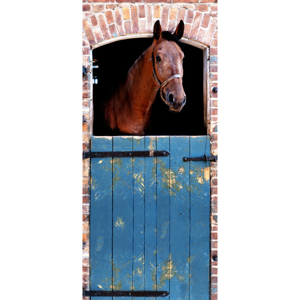 Papermoon Fototapete »Horse - Türtapete«, matt