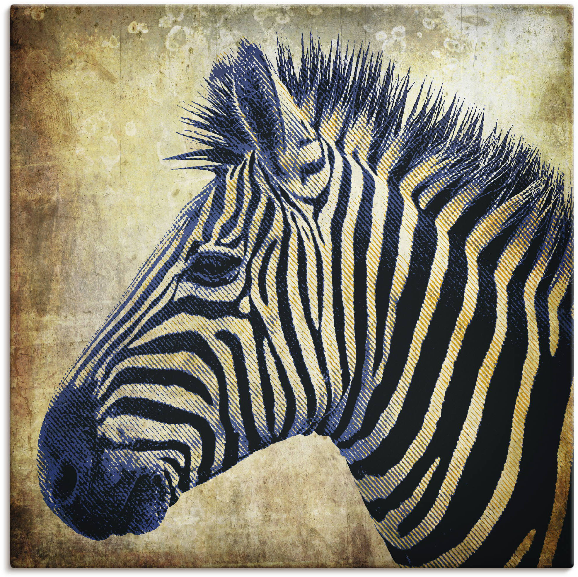 Artland Leinwandbild "Zebra Porträt PopArt" Wildtiere 1 Stk. tlg. auf Holzrahmen gespannt