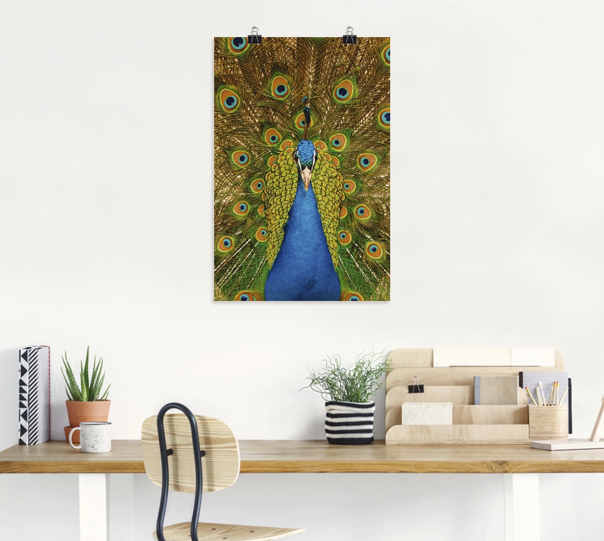 Artland Poster »Stolzer Pfau«, Vögel, (1 St.), als Alubild, Leinwandbild, Wandaufkleber oder Poster in versch. Grössen