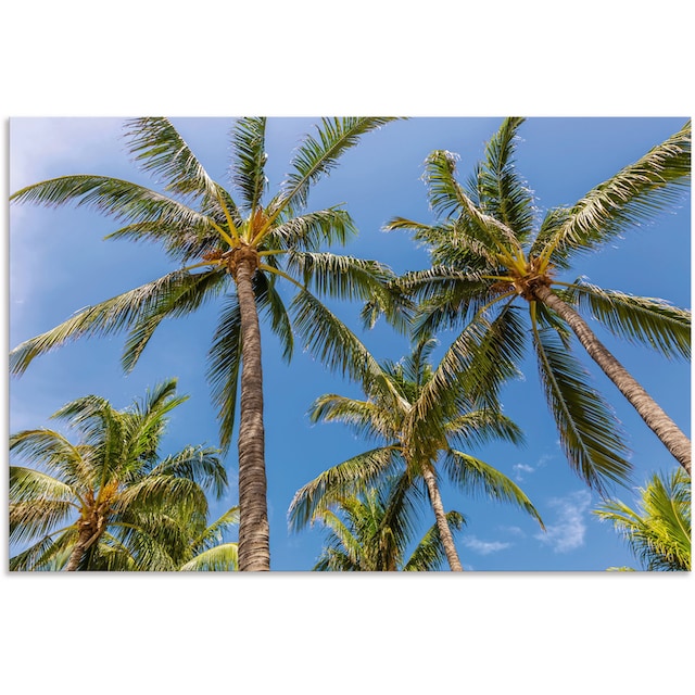 Artland Wandbild »Palmen am Strand«, Strandbilder, (1 St.), als Alubild,  Outdoorbild in verschied. Grössen online bestellen | Jelmoli-Versand