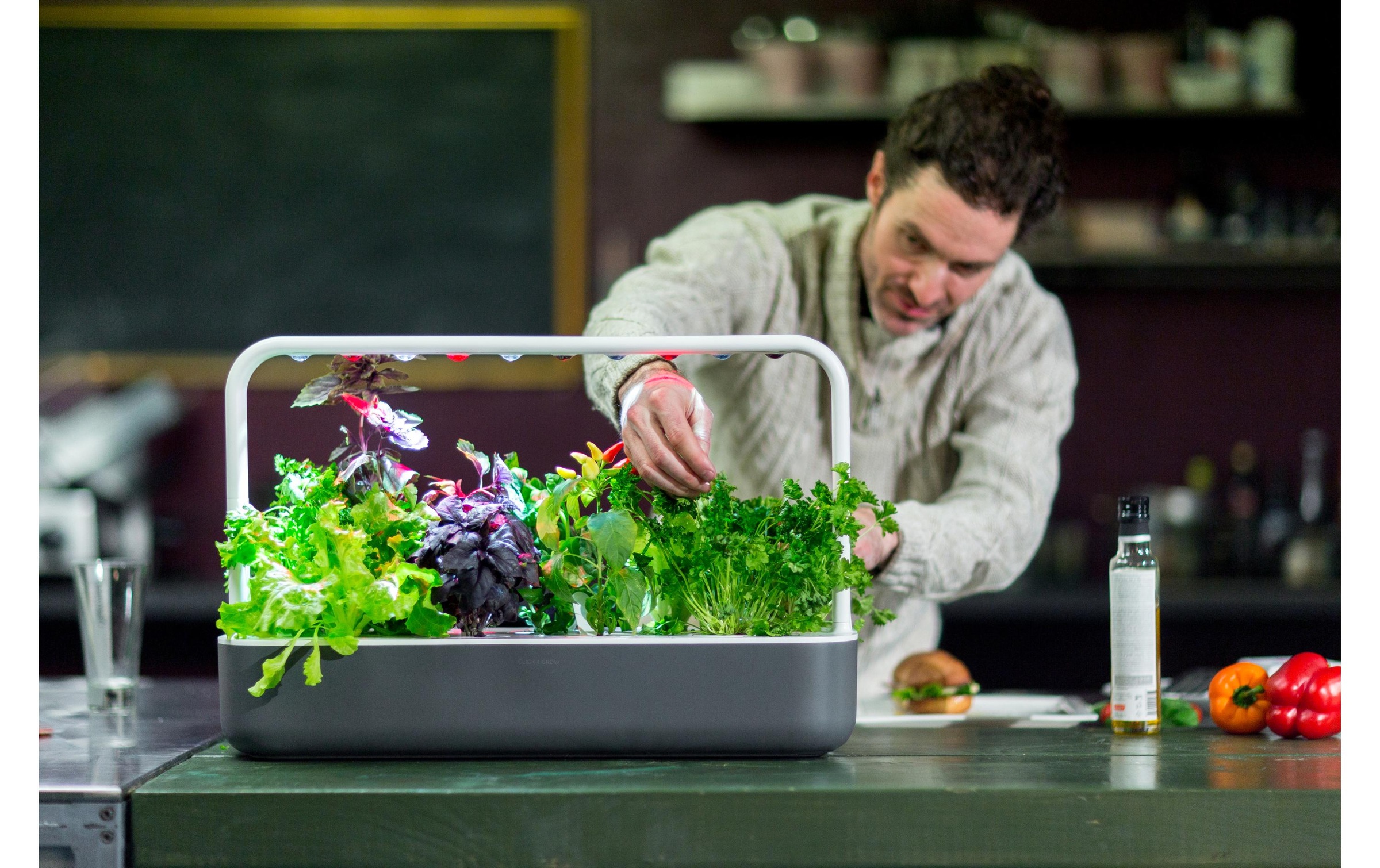 Click and Grow Kräutertopf »Smart Garden 9 Dunkelgrau«