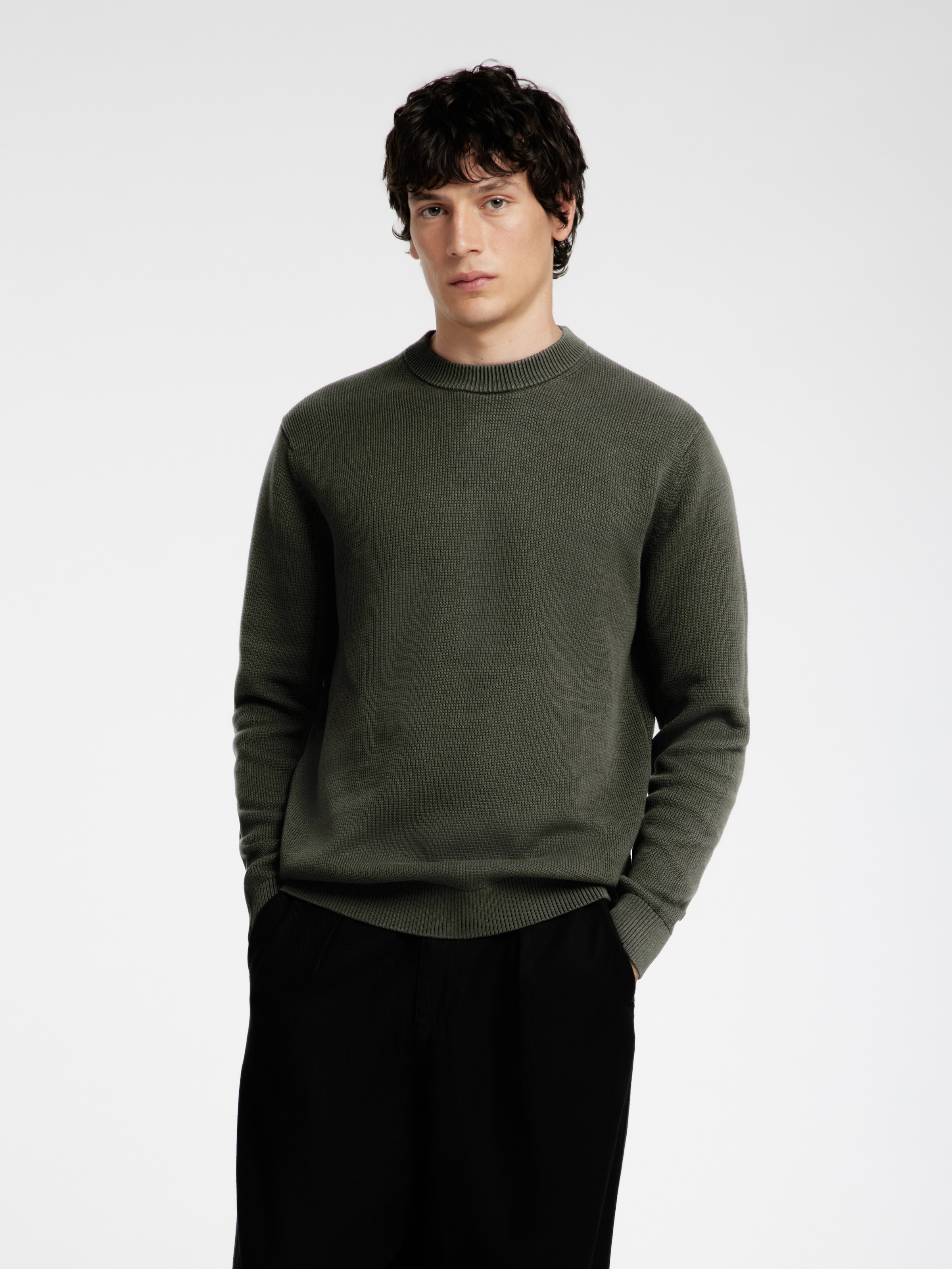 SELECTED HOMME Rundhalspullover »SLHDANE LS KNIT STRUCTURE CREW NECK NOOS«