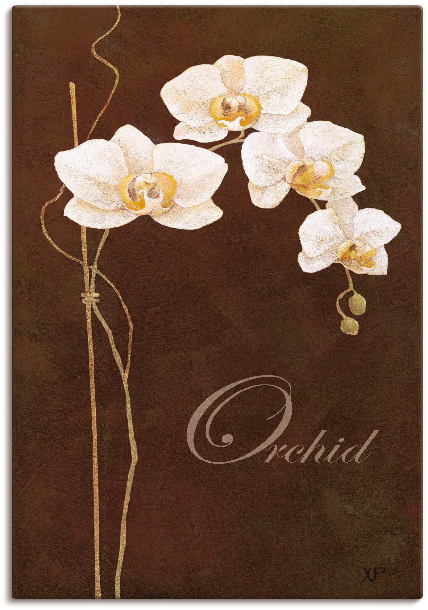 Grössen in online shoppen Wandaufkleber Alubild, Jelmoli-Versand Wandbild Artland versch. Poster als Leinwandbild, »Zarte Orchidee«, St.), oder Blumen, | (1