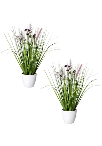 Creativ green Kunstgras »Blüten-Gras-Mix«, (2 St.), in weisser Kunststoffschale kaufen