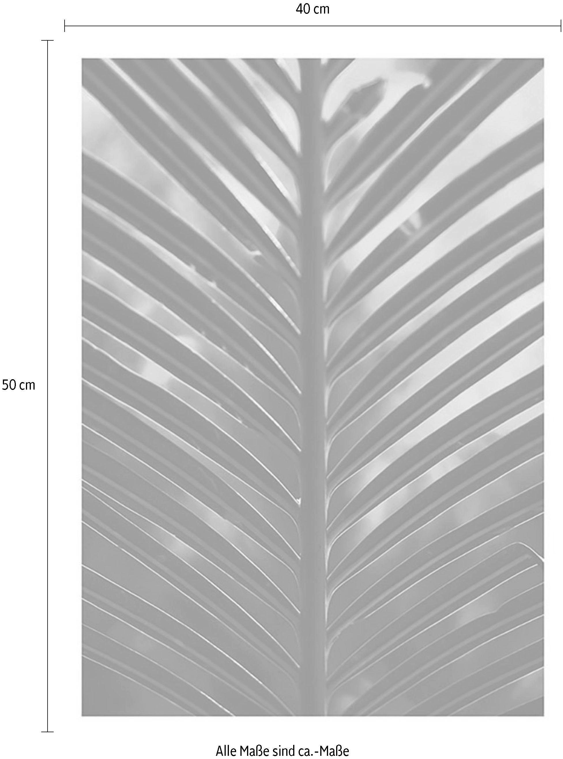 Pflanzen-Blätter, Kinderzimmer, Schlafzimmer, bestellen (1 St.), im ❤ Shop Jelmoli-Online Komar Wohnzimmer »Hide«, Poster