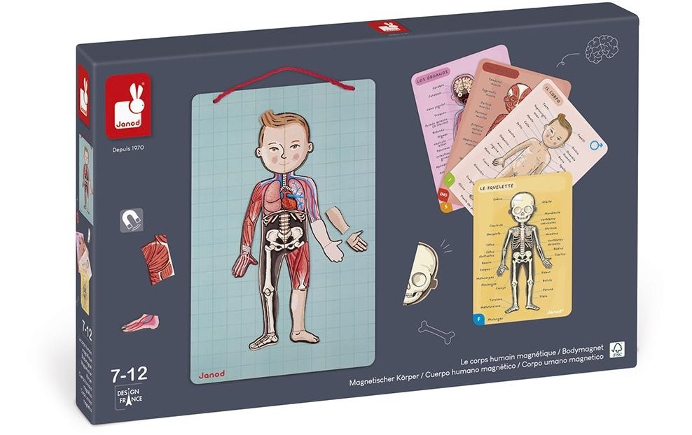 Janod Lernspielzeug »Janod Kinderspiel Magnetspiel Körpe«