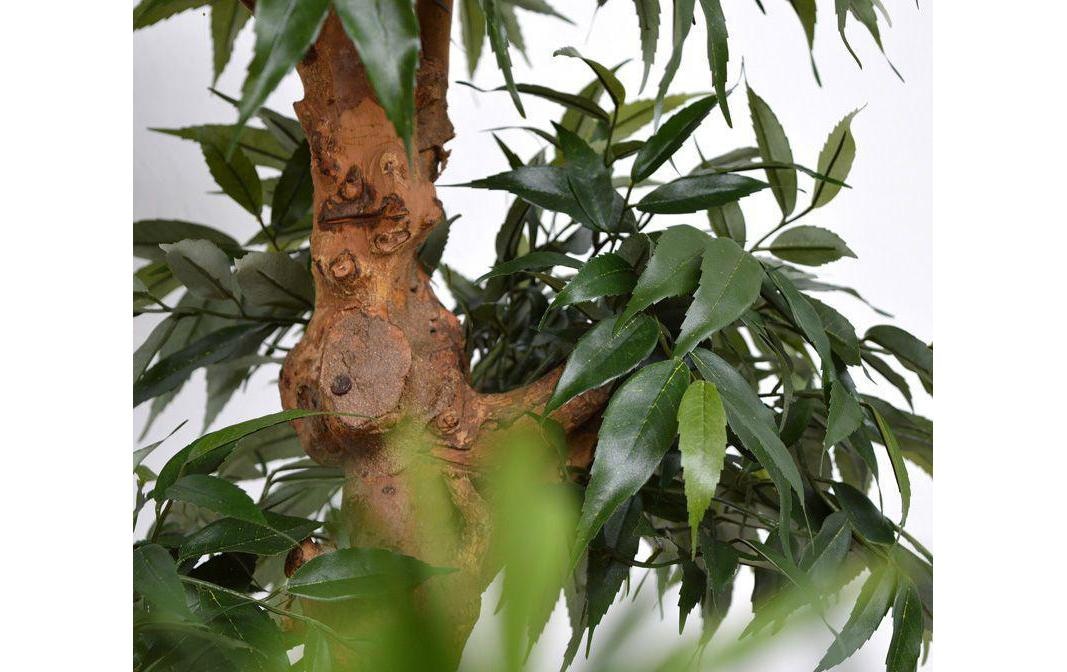 Botanic-Haus Kunstbaum »Bonsai«