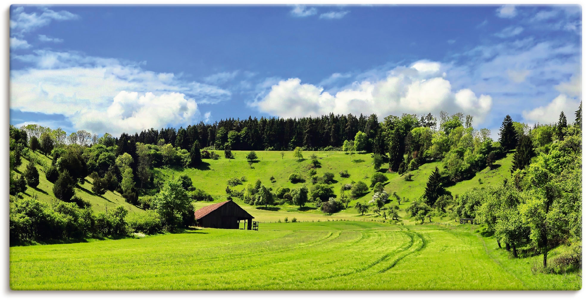 im Wandbild Jelmoli-Versand Baumbilder, (1 Landschaft | Schwarzwald«, kaufen Artland Wiesen St.) online »Traumhafte &
