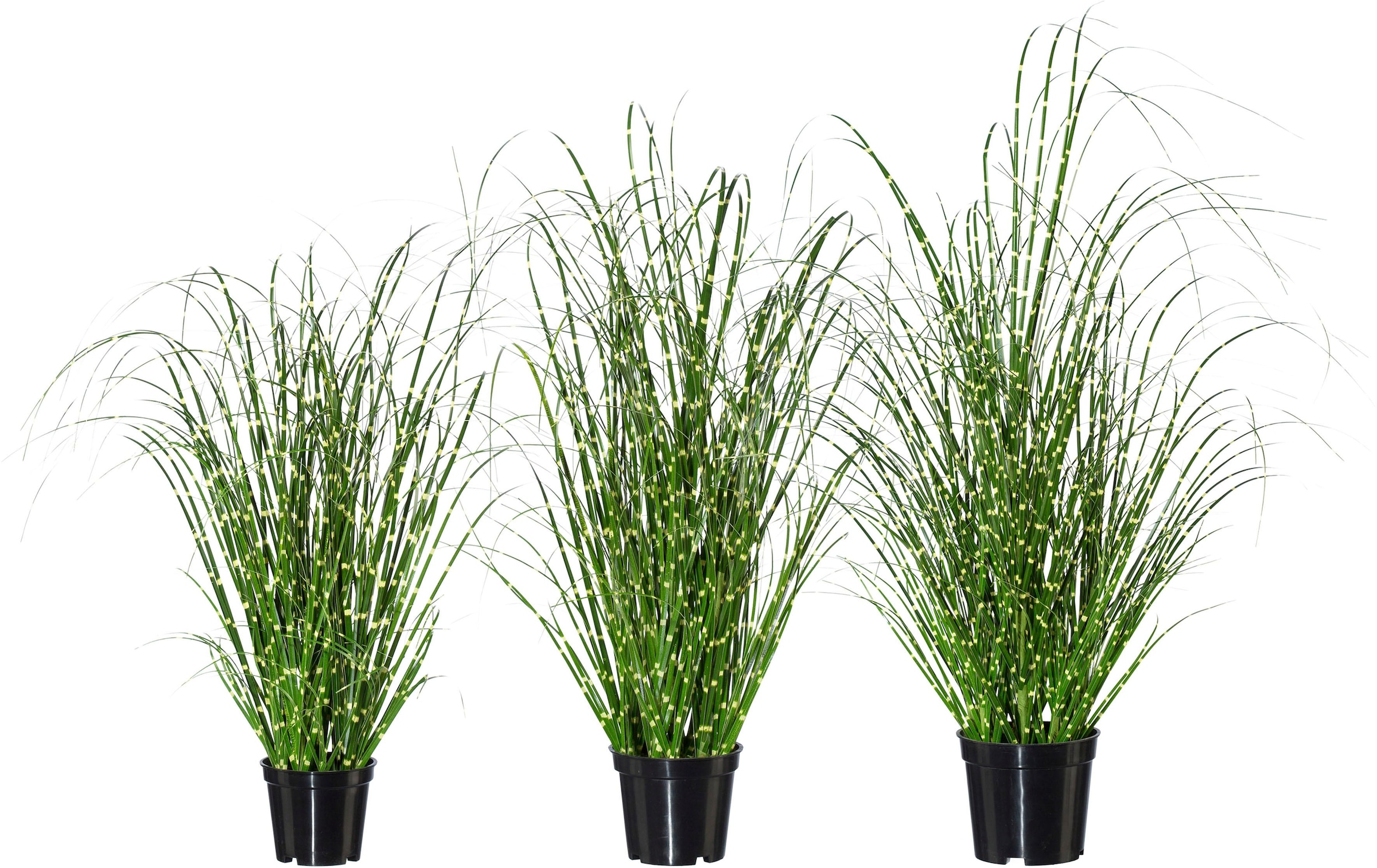 Creativ green Kunstgras »Miscanthus«