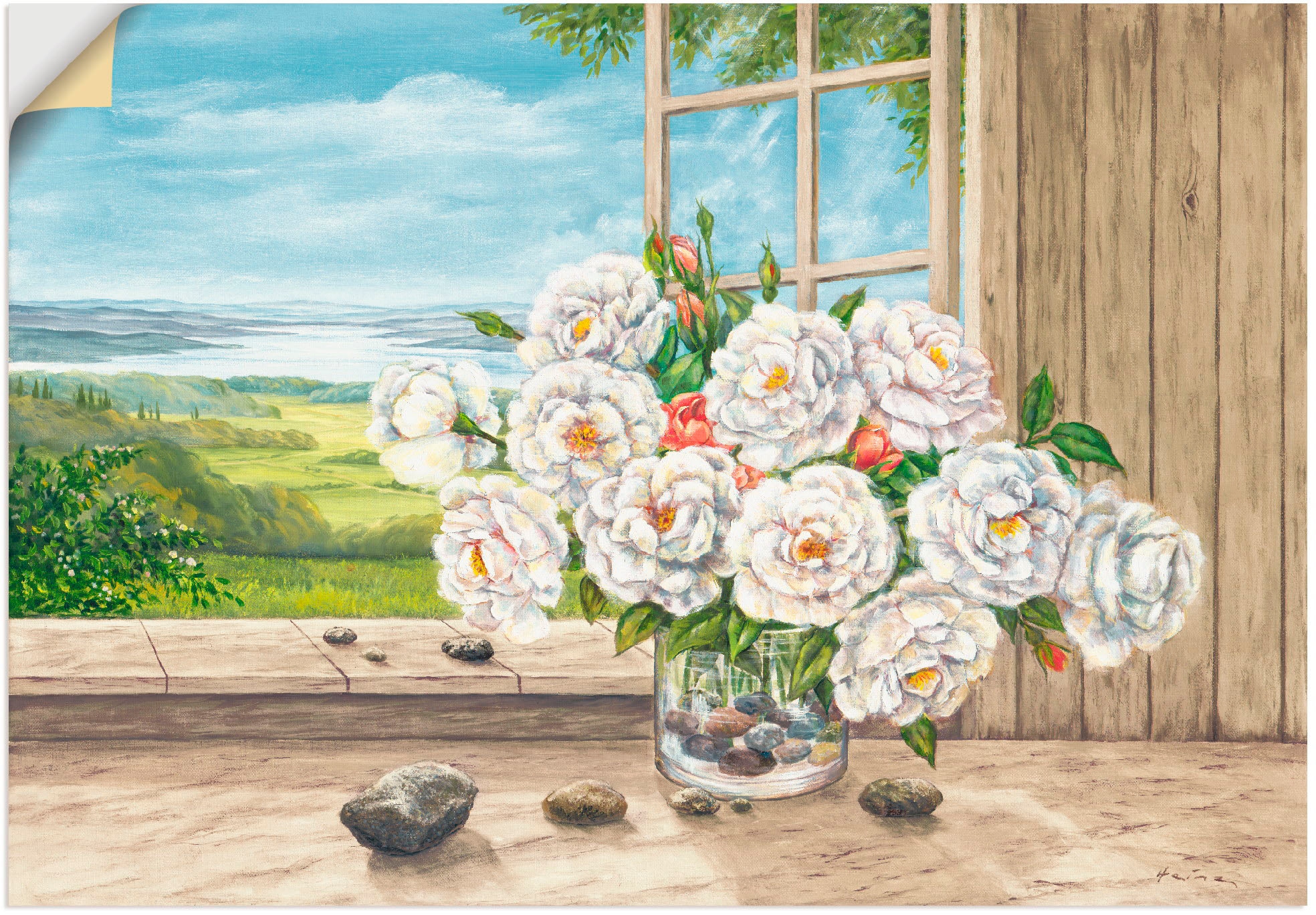 Wandaufkleber als Jelmoli-Versand Grössen versch. in Leinwandbild, Poster Wandbild Alubild, »Weisse am Artland Rosen Fenster«, (1 St.), online Blumen, | bestellen oder