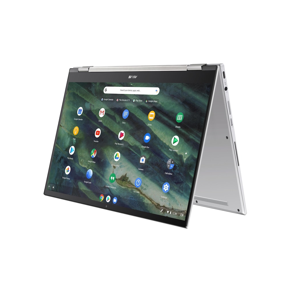 Asus Chromebook »Flip C436FA-E10221«, / 14 Zoll