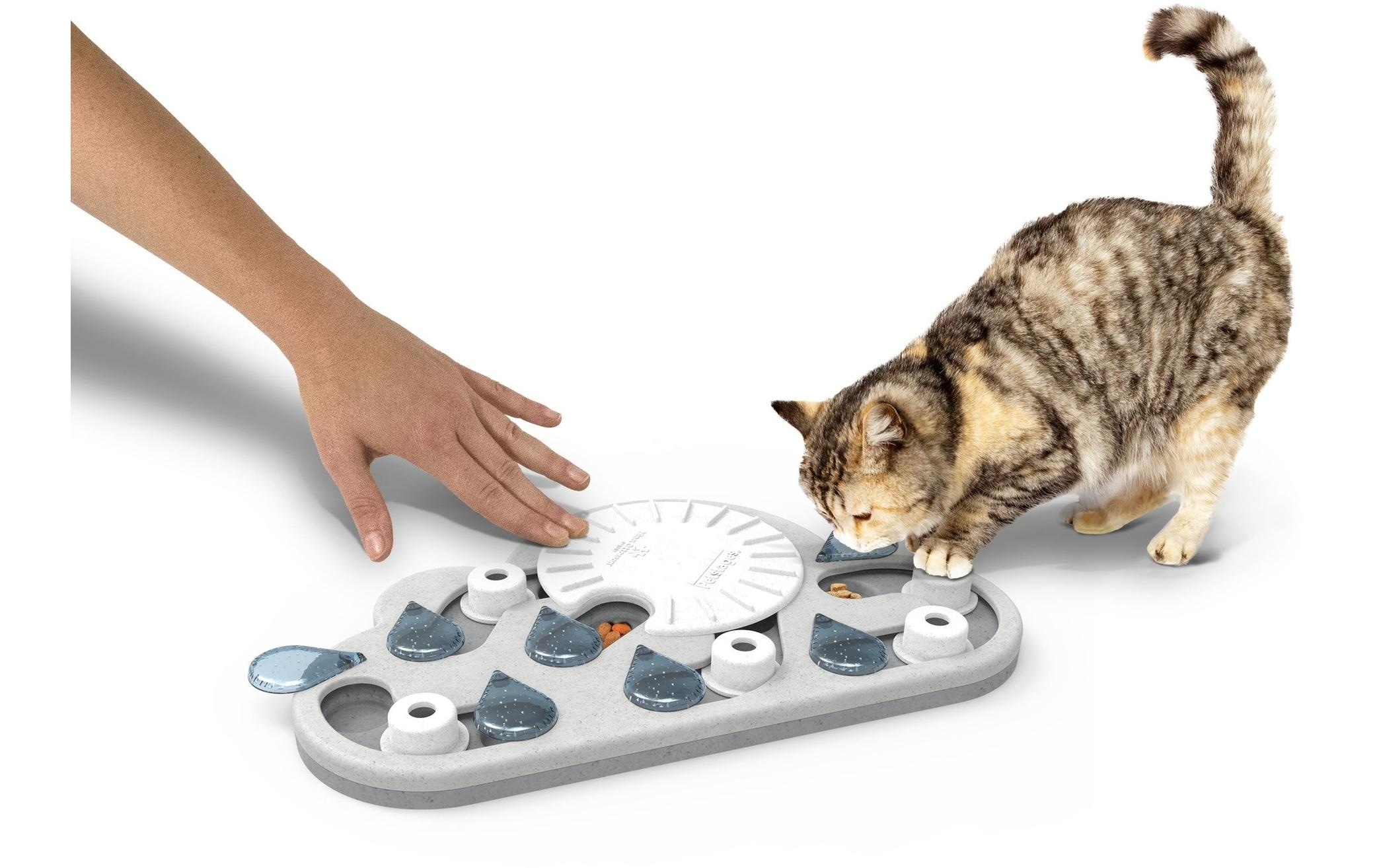 Tier-Intelligenzspielzeug »Petstage Cat Puzzle«