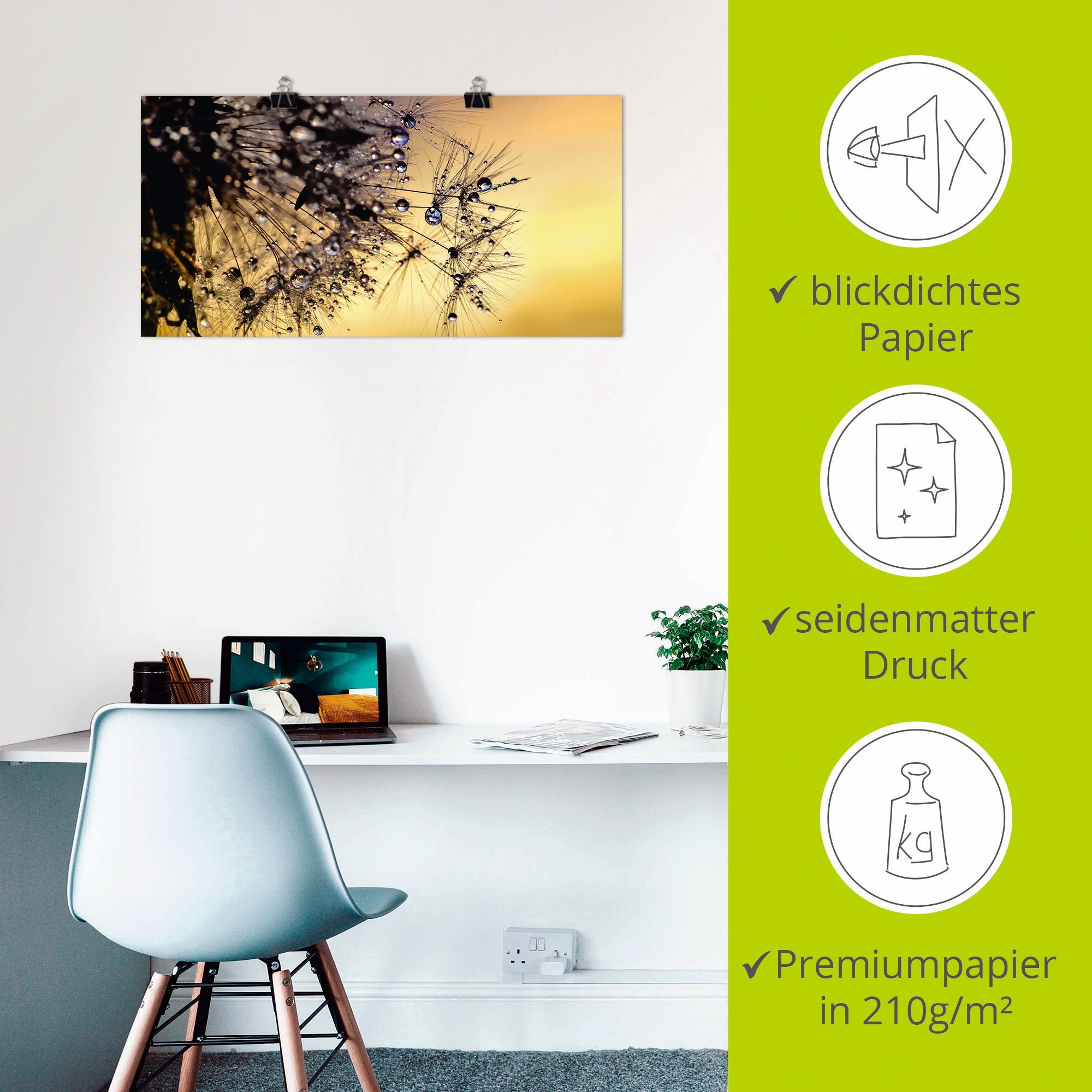 Artland Wandbild »Pusteblume mit Tautropfen benetzt«, Blumen, (1 St.), als Leinwandbild, Poster in verschied. Grössen