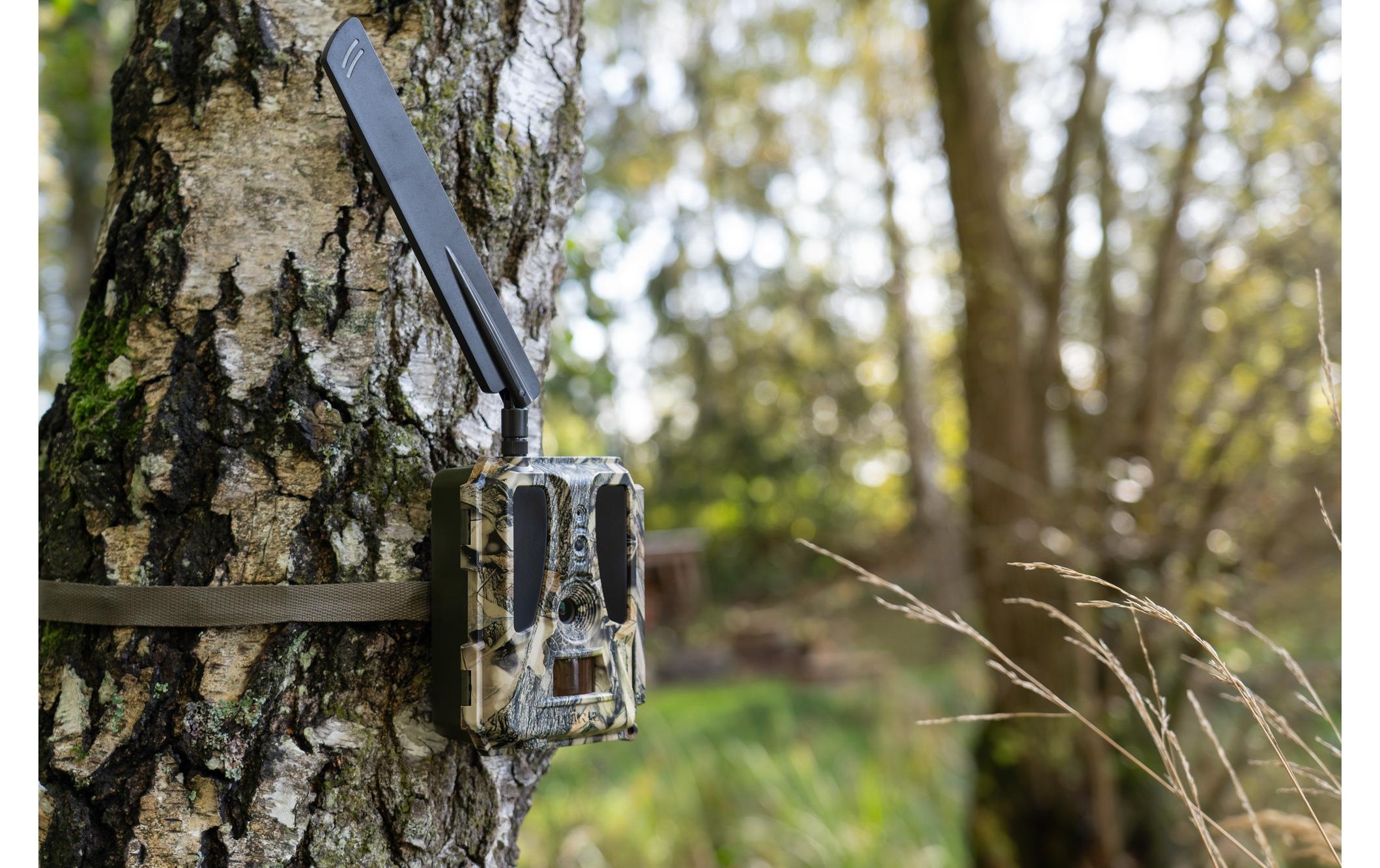 Wildkamera »Dörr Wildkamera SnapShot Cloud Pro 4G WA«, Aussenbereich