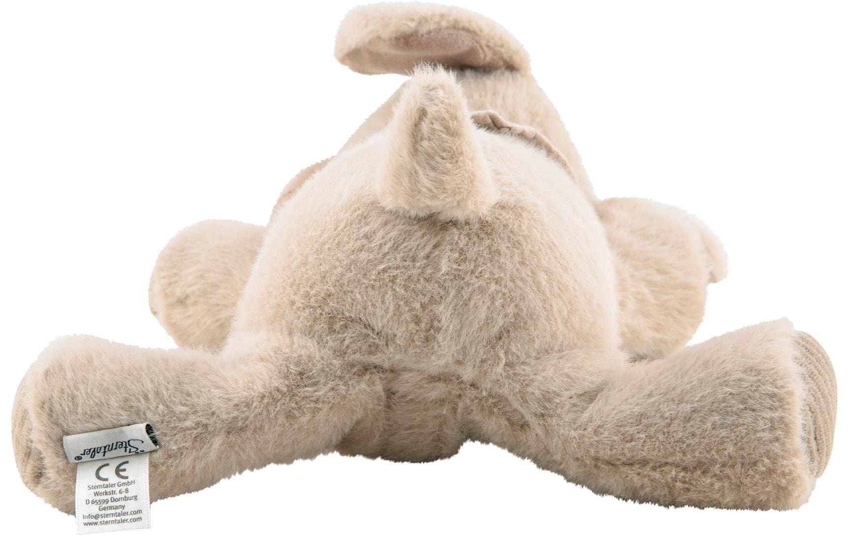 Sterntaler® Plüschfigur »Hund Lucky«