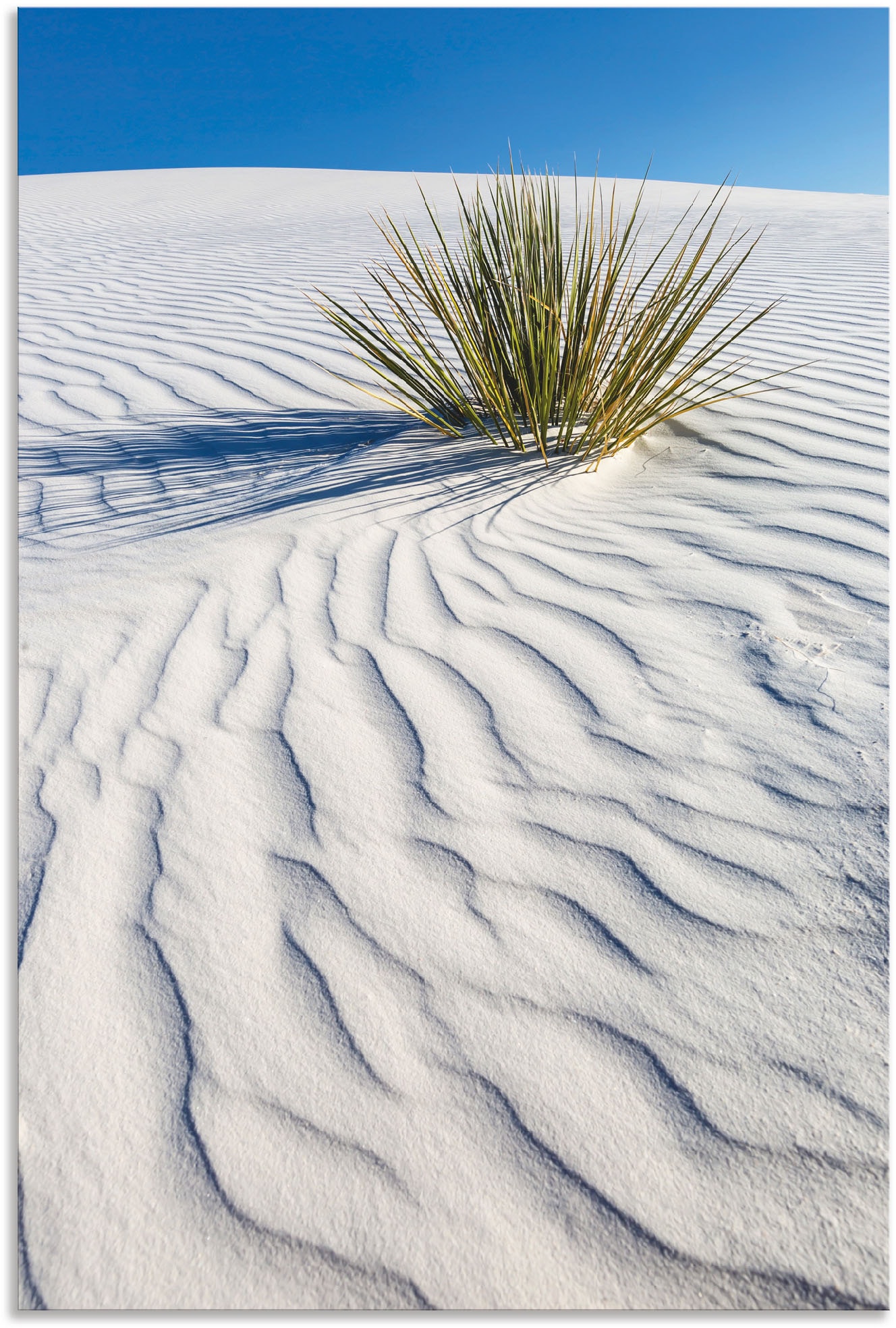 Artland Wandbild »Dünen White Sands«, Wüstenbilder, (1 St.), als Alubild,  Leinwandbild, Wandaufkleber oder Poster in versch. Grössen online shoppen |  Jelmoli-Versand