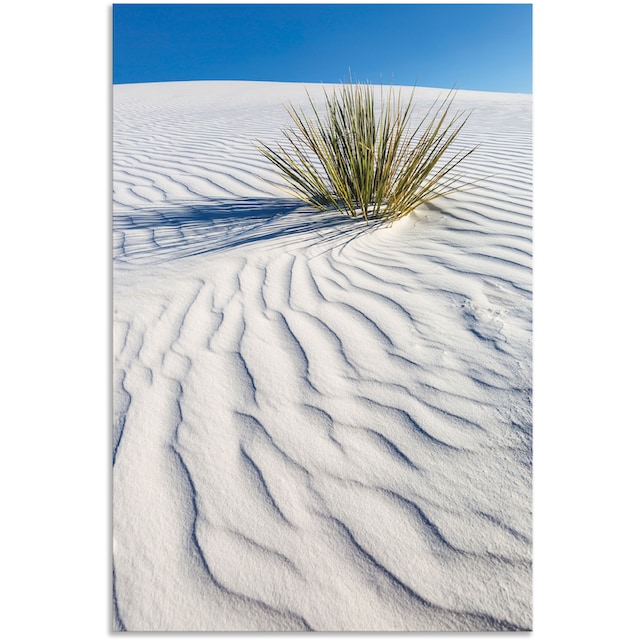 Artland Wandbild »Dünen White Sands«, Wüstenbilder, (1 St.), als Alubild,  Leinwandbild, Wandaufkleber oder Poster in versch. Grössen online shoppen |  Jelmoli-Versand