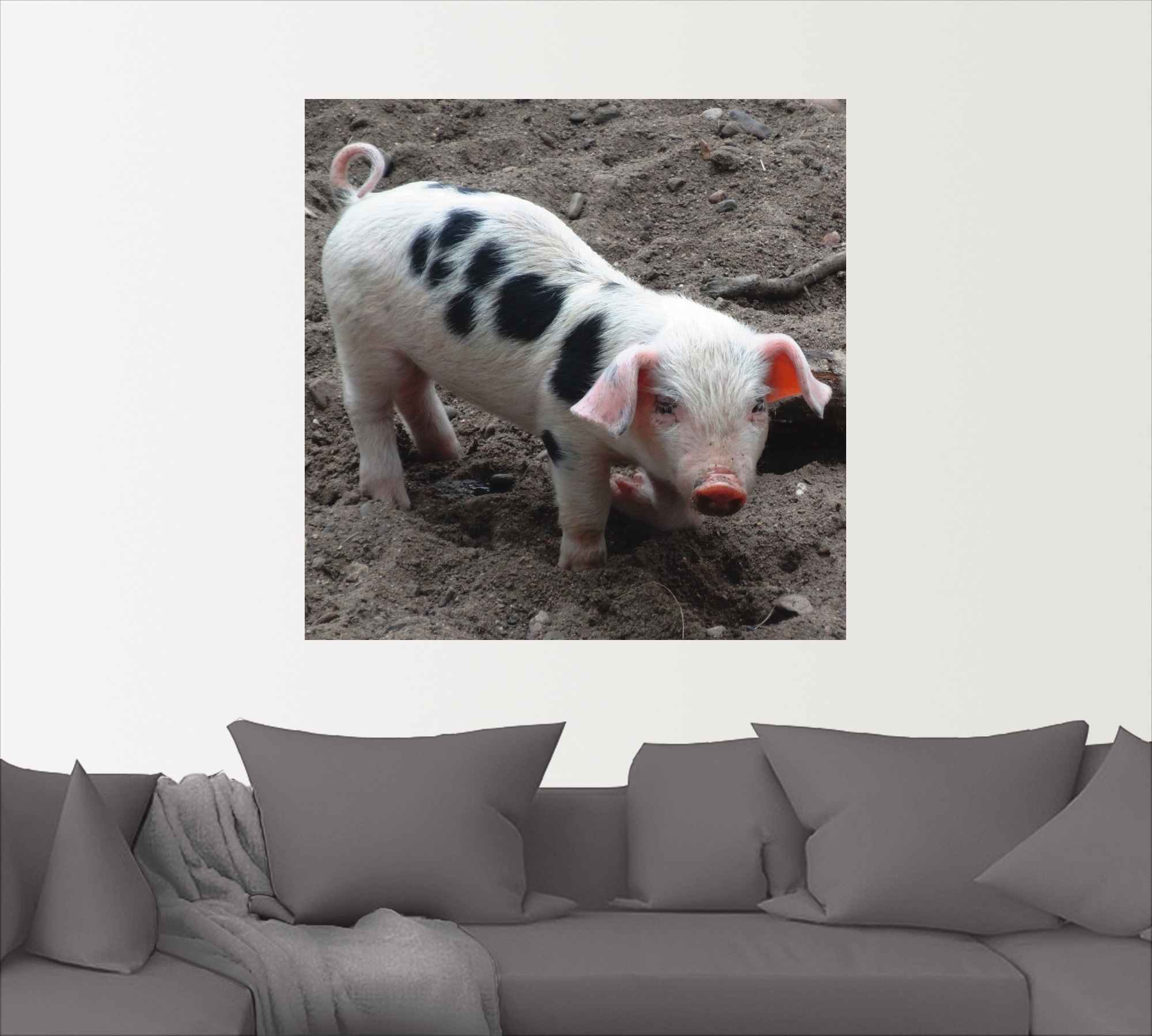Artland Wandfolie »Niedliches Ferkel«, Haustiere, (1 St.), selbstklebend