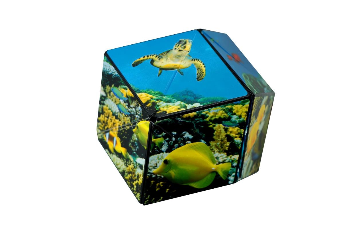 3D-Puzzle »Shashibo Shashibo Cube Undersea«