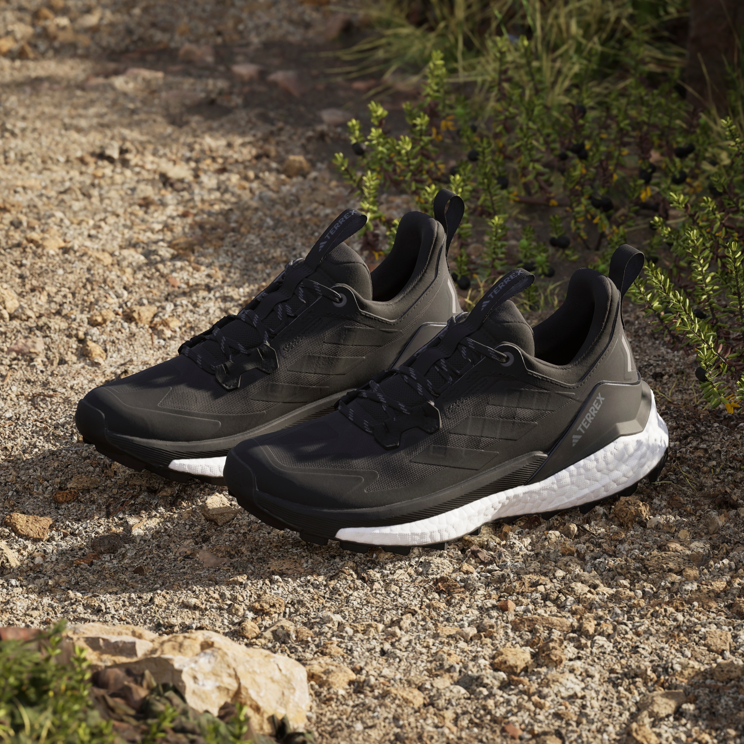 adidas TERREX Wanderschuh »TERREX FREE HIKER 2.0 LOW«