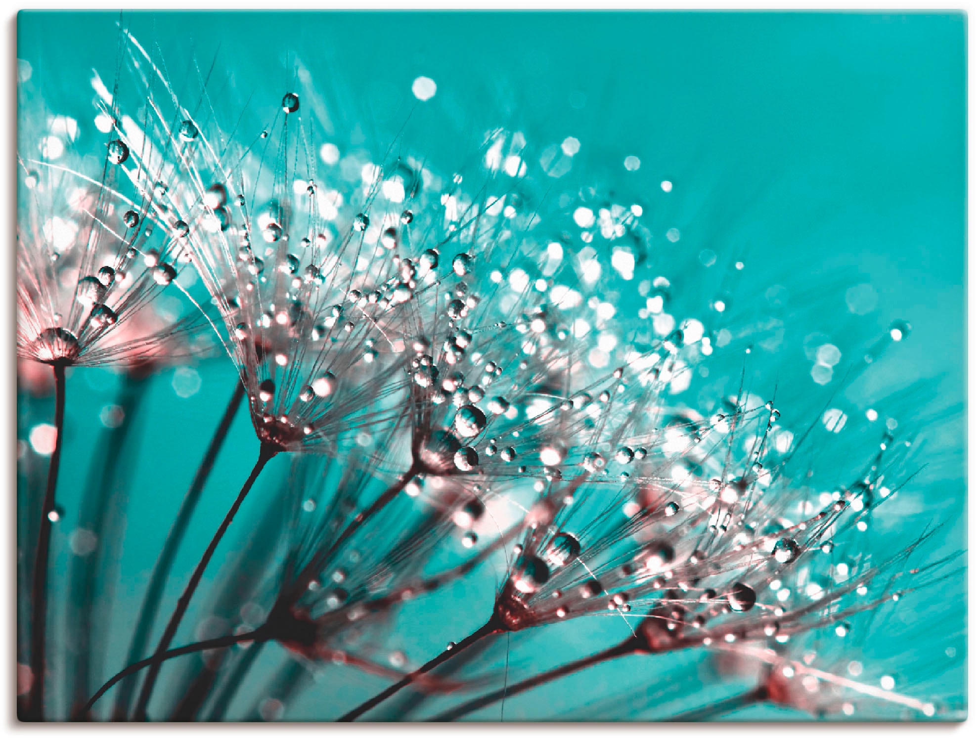 Artland Leinwandbild "Glitzernde Pusteblume I" Blumen 1 Stk. tlg. auf Holzrahmen gespannt