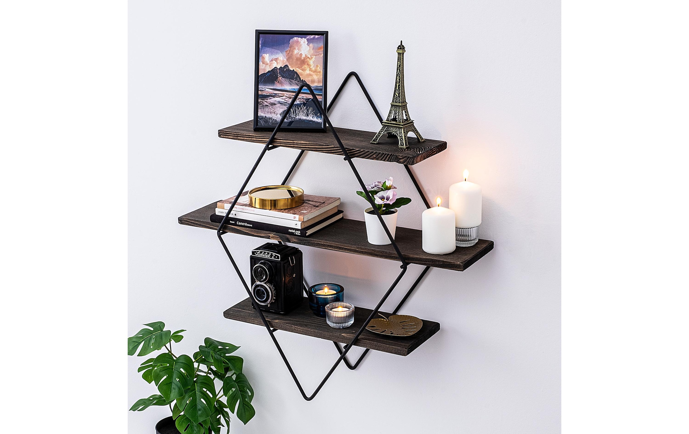 Wandregal »Woody Fashion Erysimum 60 x 40 x 15 cm, Schwarz/Walnuss«