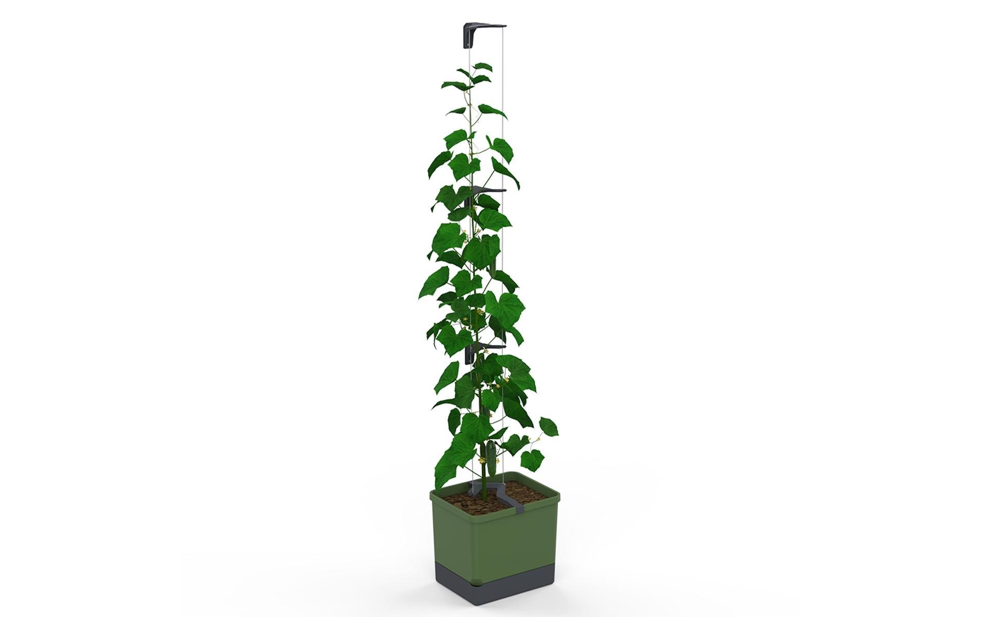 Gusta Garden Blumentopf