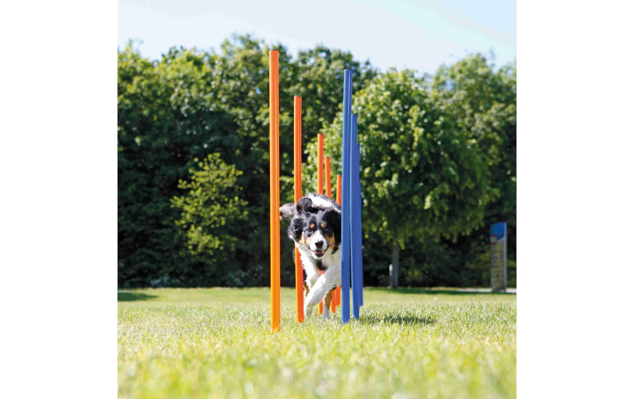 TRIXIE Agility-Slalom »Agility Slalom Dog Activity Set, 12 Stangen«, Kunststoff